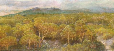 Un bacio morente alla pineta odorosa da Giovanni Costa